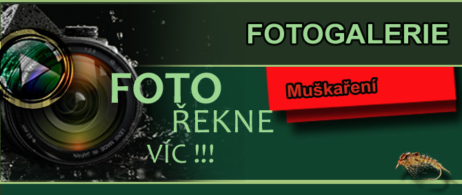 fotogalerie